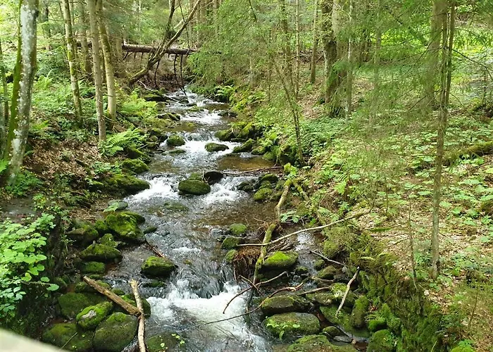 Haus Bergblick * Lindberg