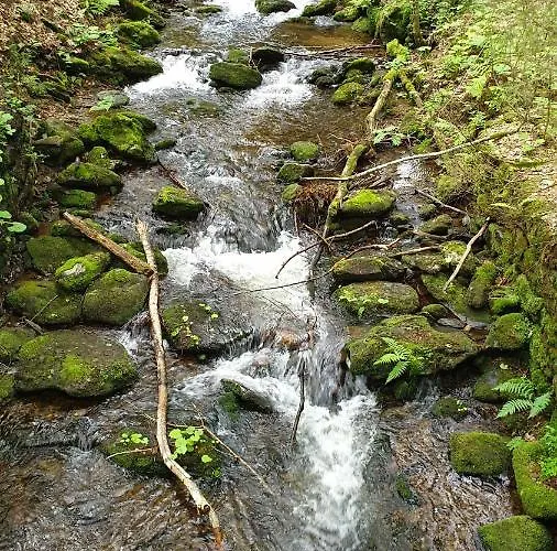 Haus Bergblick * Lindberg