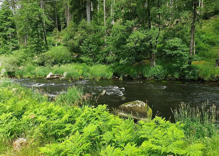 Haus Bergblick Daire *