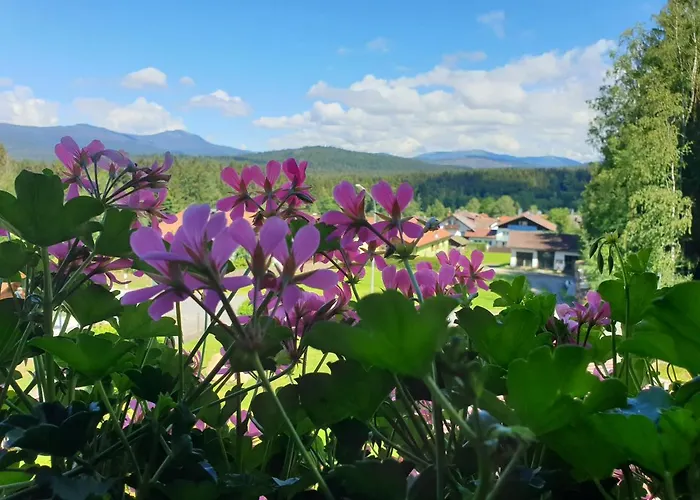 Daire Haus Bergblick