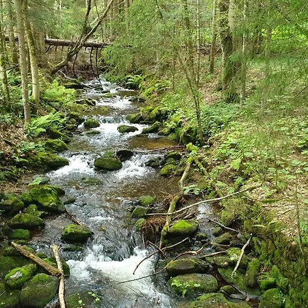Haus Bergblick * Lindberg