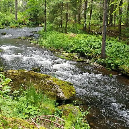 Apartamento Haus Bergblick *