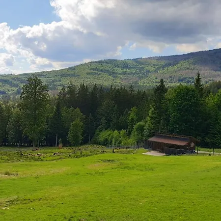 Apartamento Haus Bergblick *