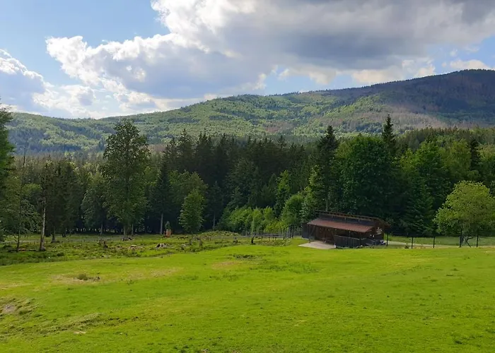 Lejlighed Haus Bergblick *