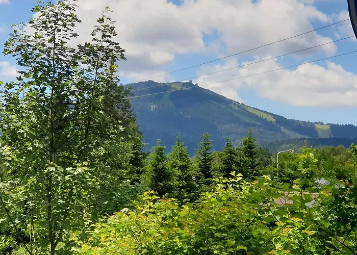 Lejlighed Haus Bergblick